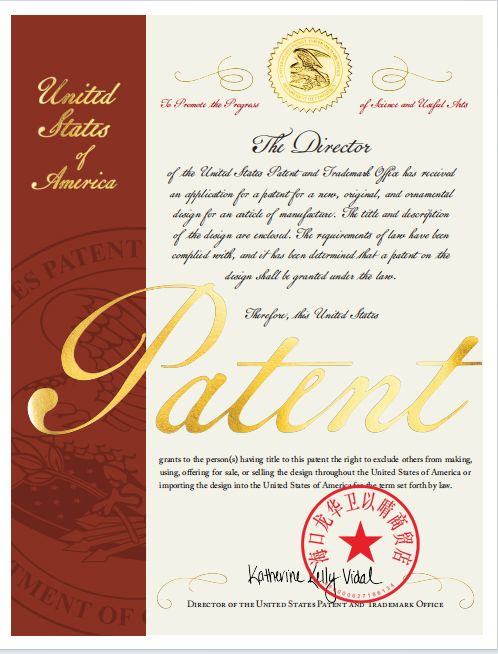 Design patent document